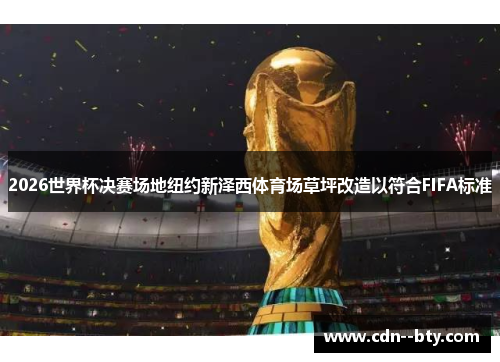 2026世界杯决赛场地纽约新泽西体育场草坪改造以符合FIFA标准